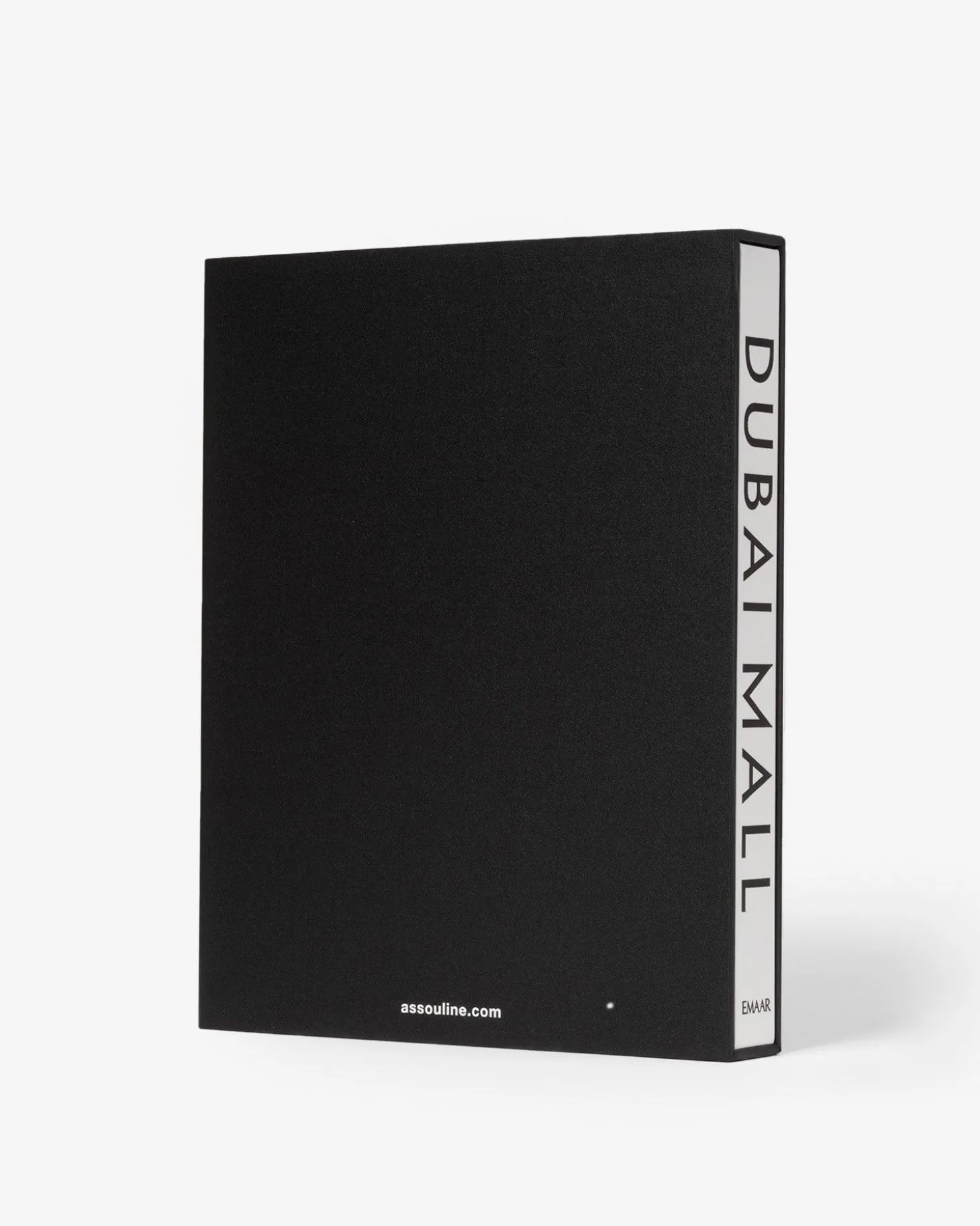 Dubai Mall: A Mall Like No Other