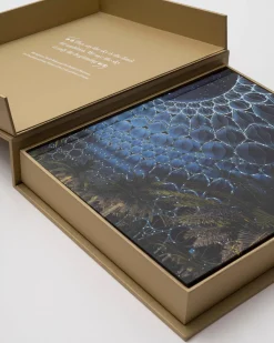 Expo 2020 Dubai: The Definitive Edition