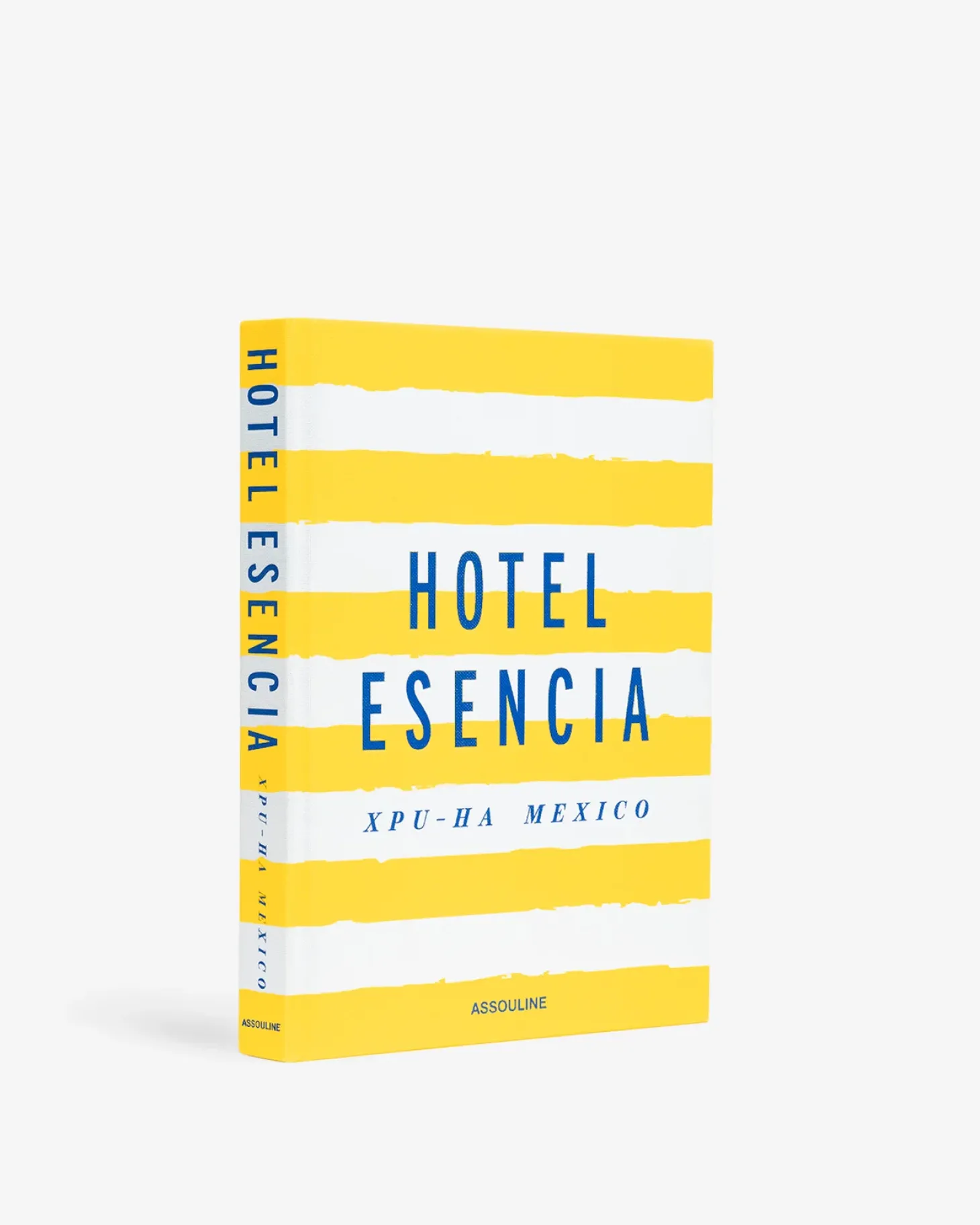 Hotel Esencia
