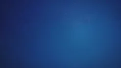 Saudi Arabia: Red Sea, The Saudi Coast