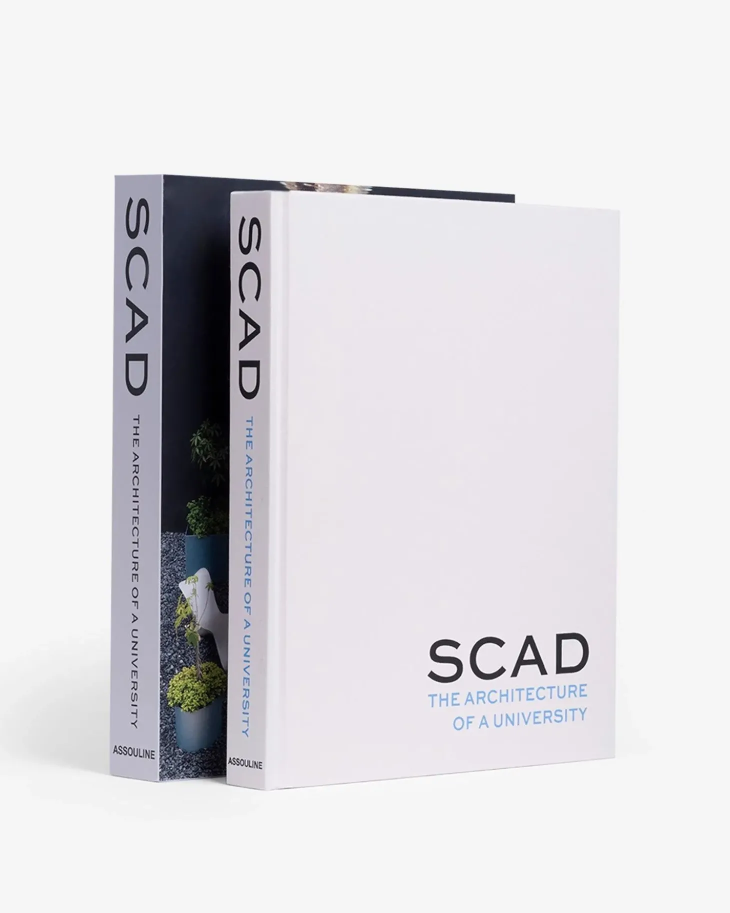 SCAD, Architecture of a University