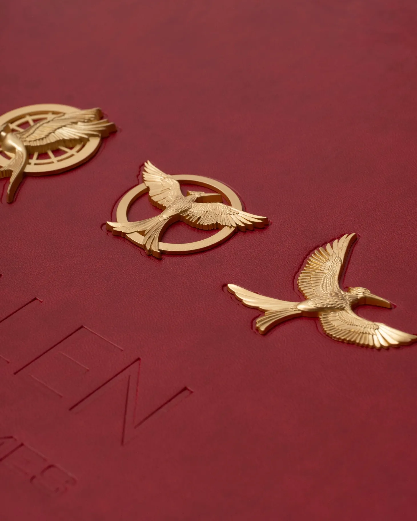 Tim Palen: Photographs from The Hunger Games (Ultimate Edition)